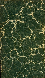 candida everything you need to know
