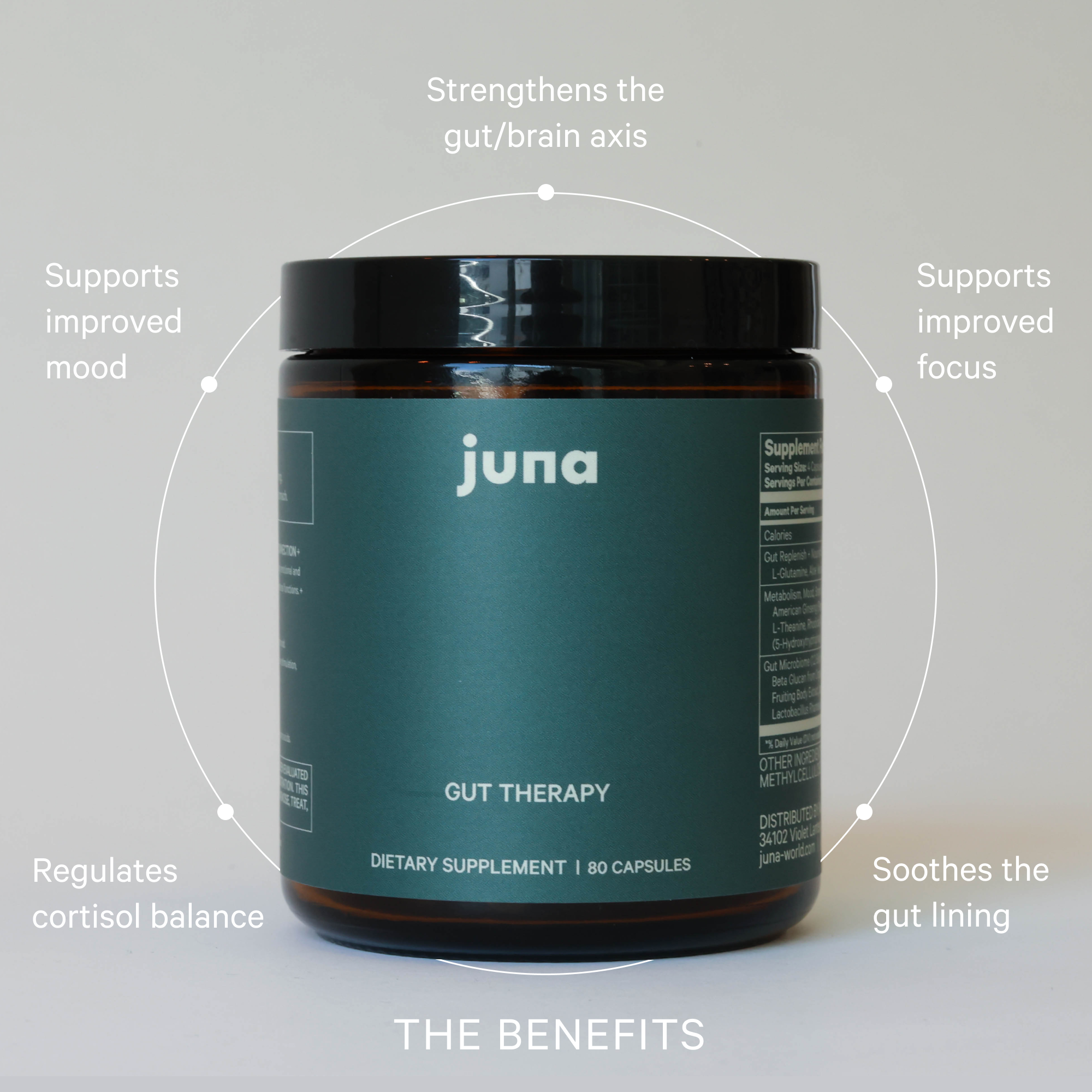 The Gut Protocol
