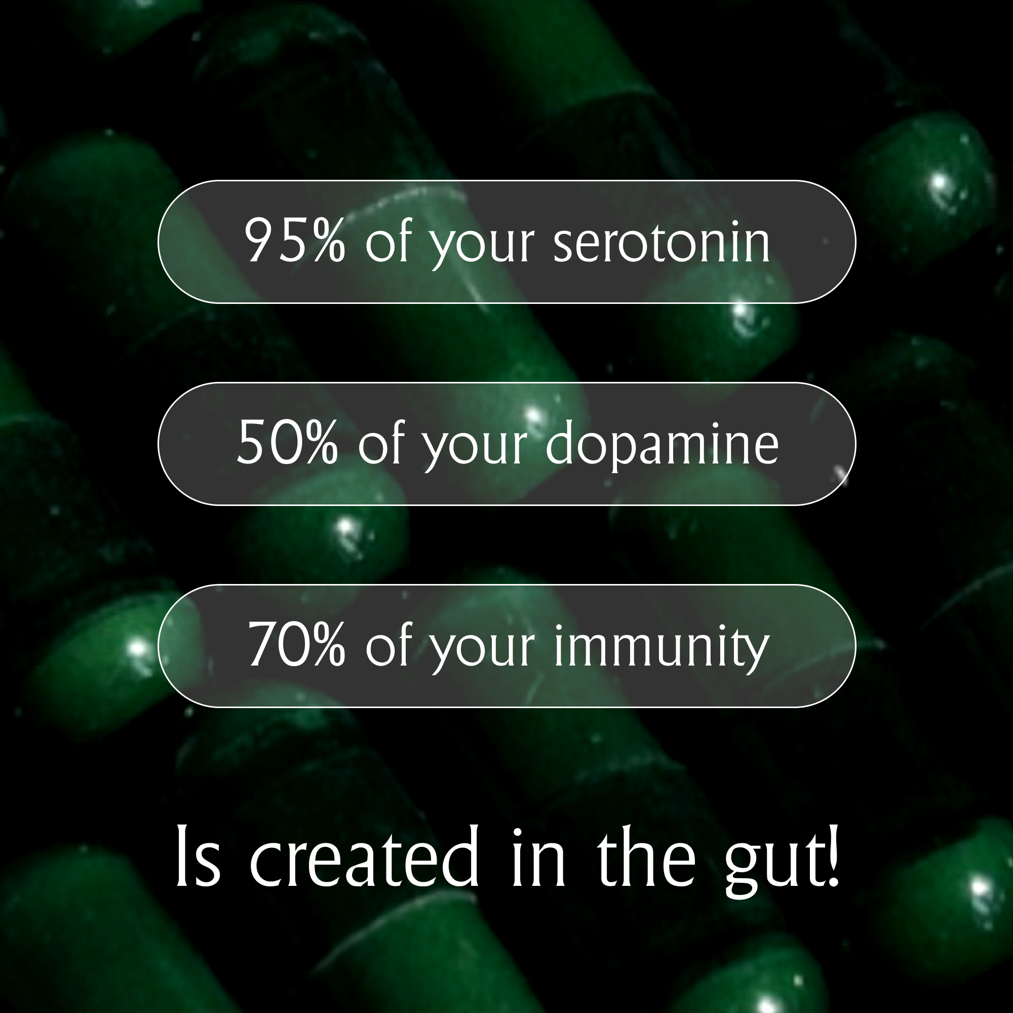 The Gut Protocol