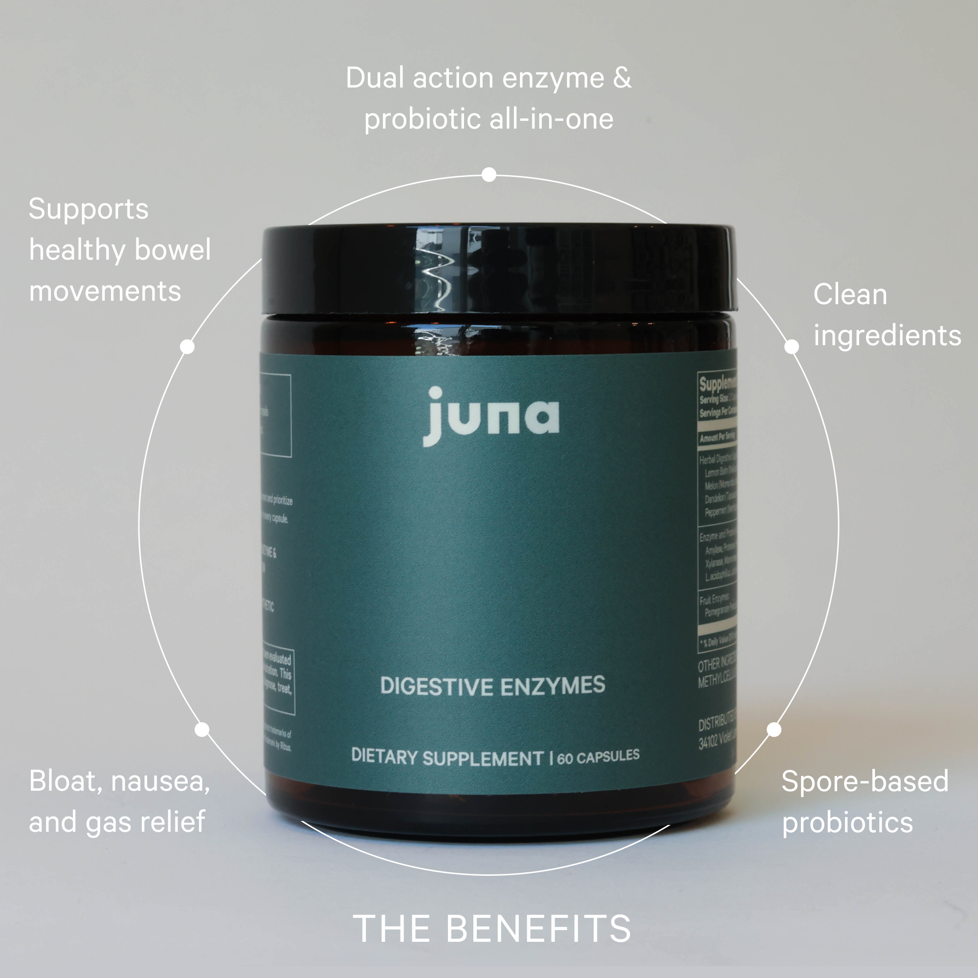 The Gut Protocol