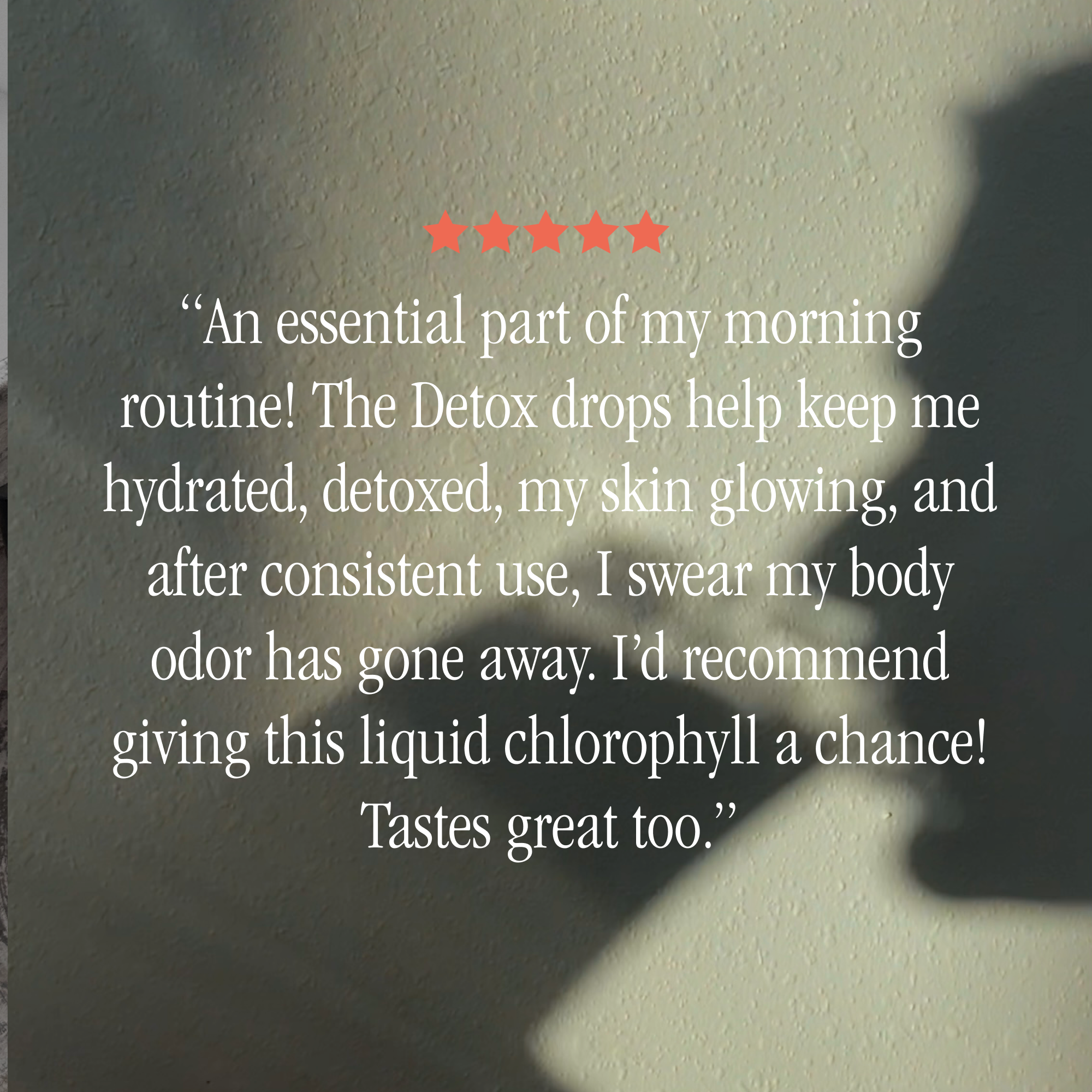 Detox Drops (Set of 2)