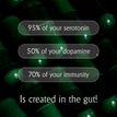 The Gut Protocol