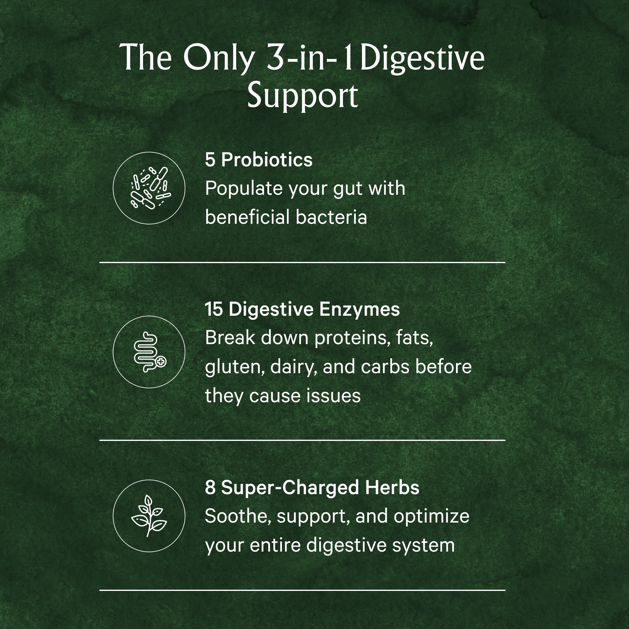 Text detailing digestive support with probiotics, enzymes, and herbs on a green background