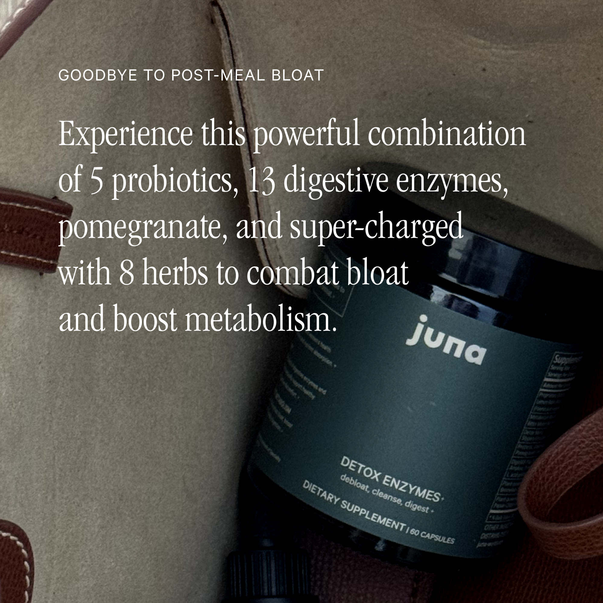 supp panel chlorophyll drops and probiotic digestive enzymes